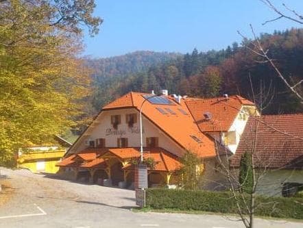 Domacija Vodnik & Apartments