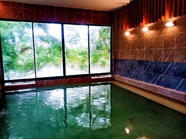 Chiangkhong Teak Garden Riverfront Onsen