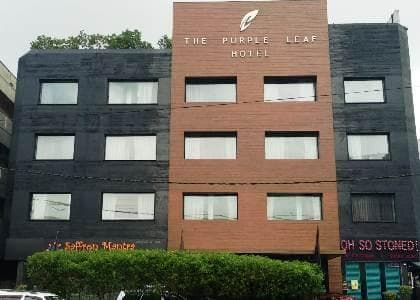 The Purple Leaf Hotels