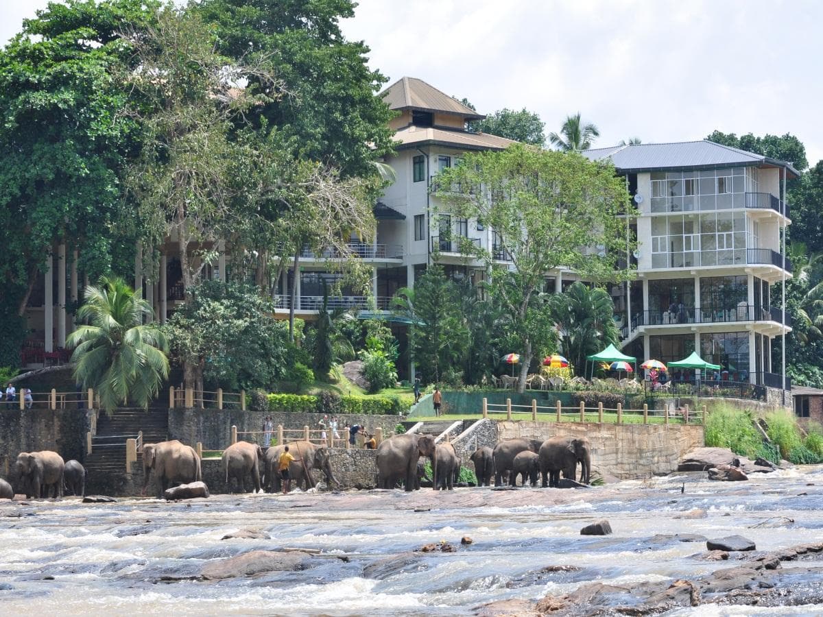 Hotel Elephant Bay