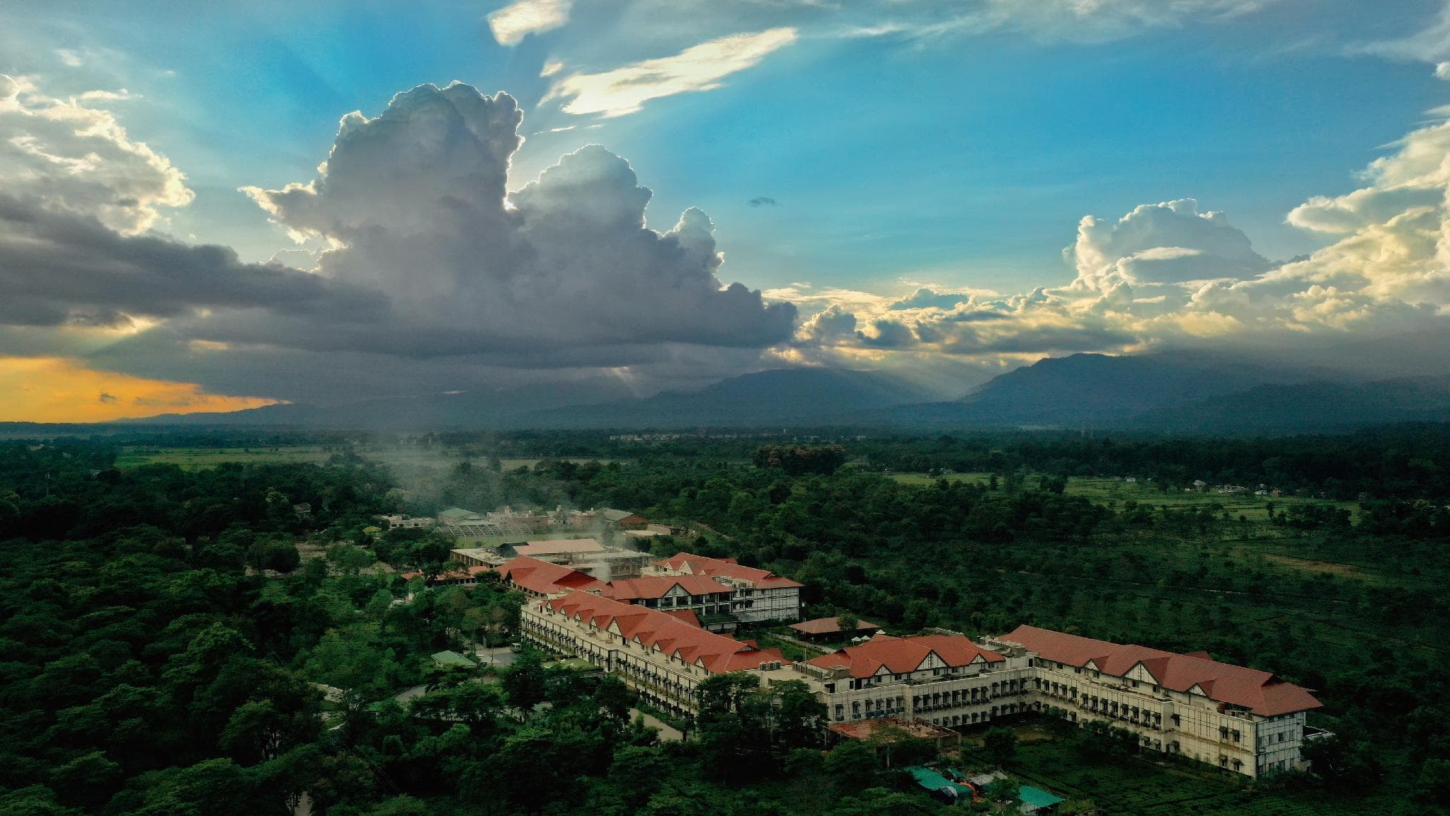 MAYFAIR Tea Resort