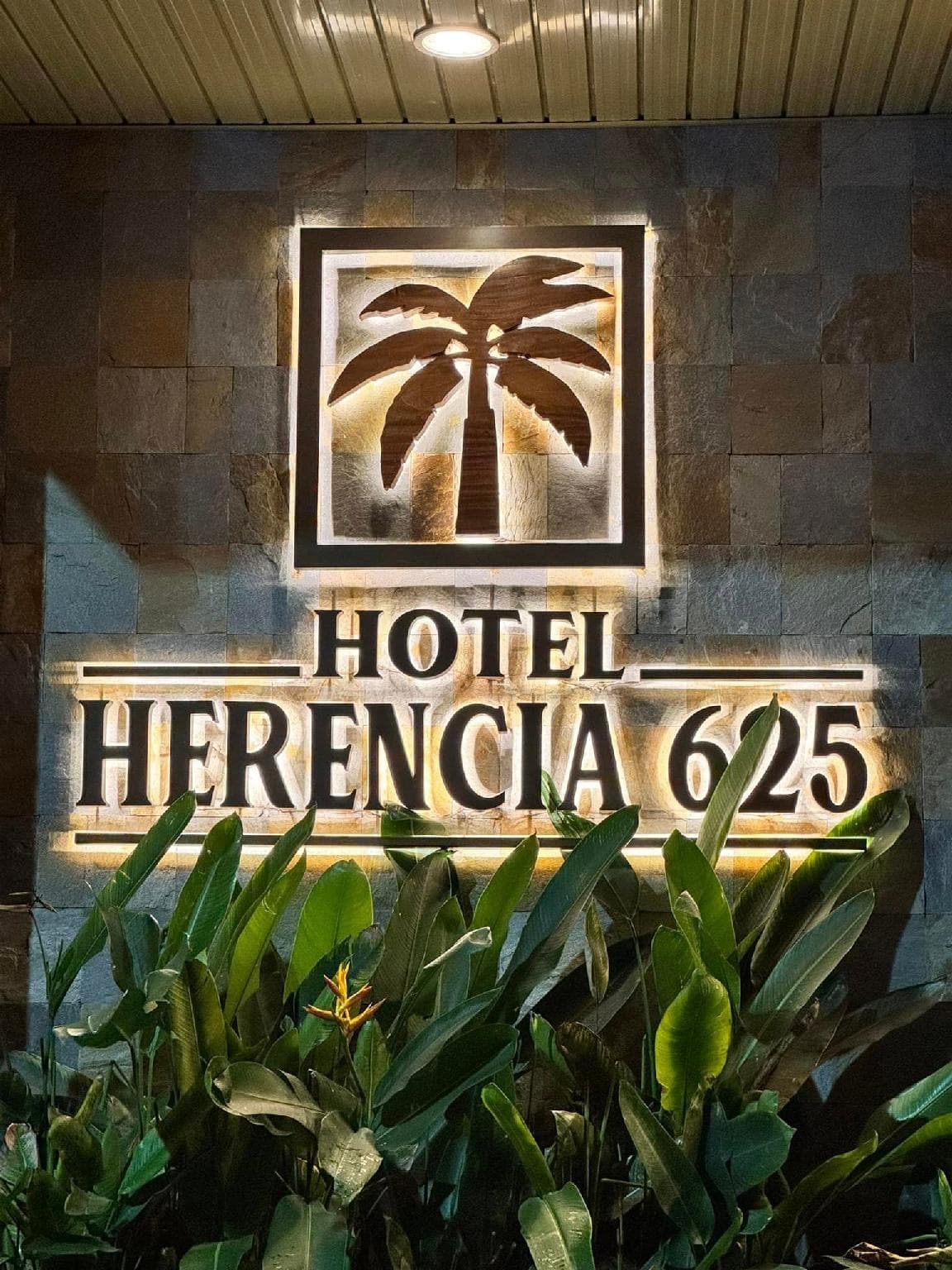 HOTEL HERENCIA 625